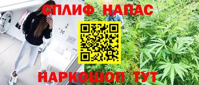 гидра Гусиноозёрск
