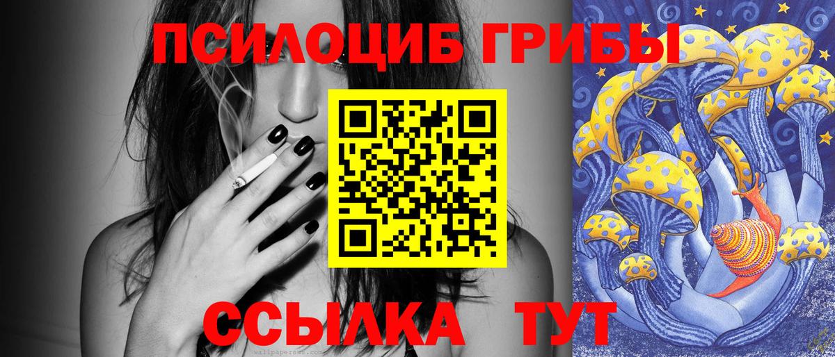 Псилоцибиновые грибы Magic Shrooms Звенигород