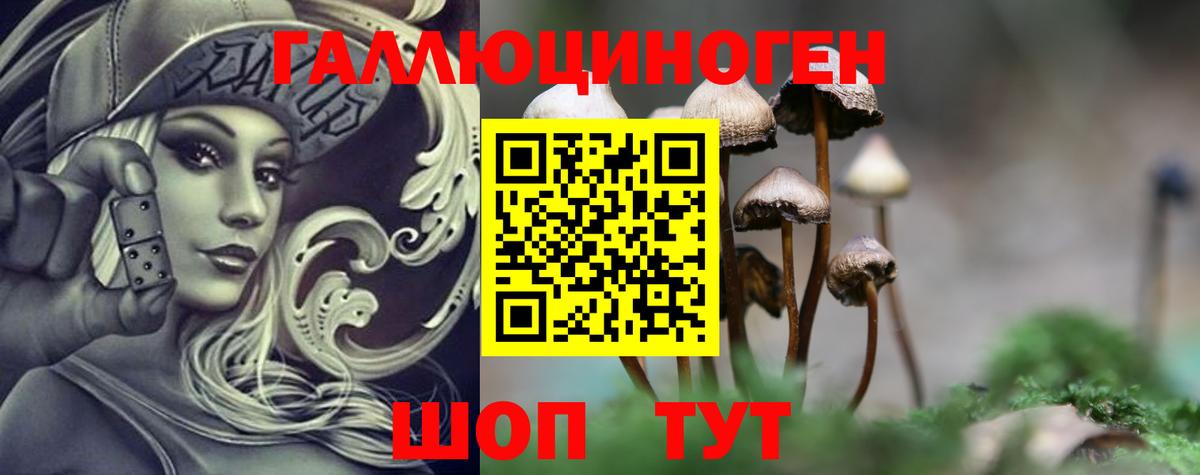 Псилоцибиновые грибы MAGIC MUSHROOMS  Псилоцибиновые грибы Cubensis  закладка  Звенигород 
