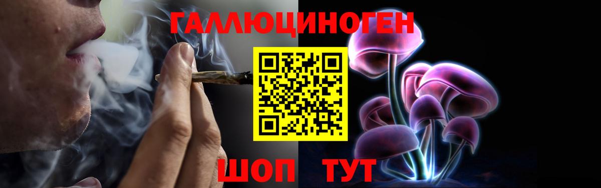 Псилоцибиновые грибы MAGIC MUSHROOMS  Галлюциногенные грибы MAGIC MUSHROOMS  Звенигород  Вход с VPN 